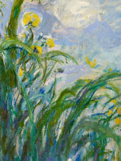 The Yellow Iris (detail) by Claude Monet